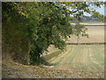 Headland footpath