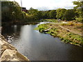 Weir, River Don, Wadsley Bridge