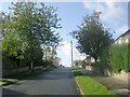 Beechwood Road - looking up from Watty Hall Road