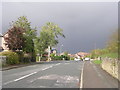 Poplar Grove - viewed from near Haycliffe Avenue