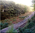 Single-track railway line near Llanhilleth