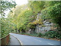 Cliff alongside B4471 south of High Street, Llanhilleth