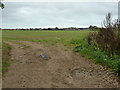 Crop land on the edge of Durrington