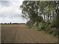 Planted  Field  Grange  Farm