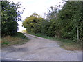 Footpath to Cottage Wood