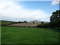 Fields to the south of the Skirrid near Abergavenny