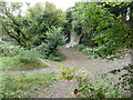 Old chalk pit near Cote Bottom