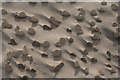 NJ2171 : Sand Discs by Anne Burgess