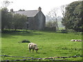 Derelict farmhouse on the Carrowbane Road