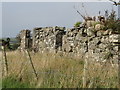 Ruined cottage on the Carrowbane Road