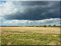 Lincolnshire Fens