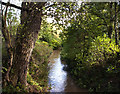 The brook at the end of Park Lane