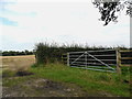 Gate off Batemill Lane, Peover Heath