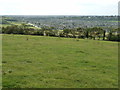 Houses at Findon Valley