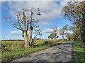 Country road north of Rockcliffe