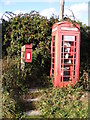 Telephone Box & The Old Dog Postbox