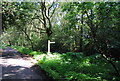 Footpath off Sheephouse Lane