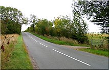 SK6018 : Big Lane towards Paudy Crossroads southwards by Andrew Tatlow