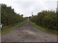 Driveway to the Firs, off Hoop Lane