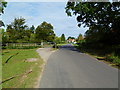 Woodlands, cattle grid