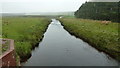 Duneaton Water from bridge near Netherhill