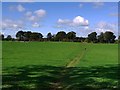 Path to Hardwick Country Park from West Park Lane, Sedgefield