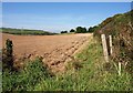 Tilled field, Portwrinkle