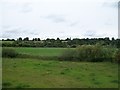 O0272 : Farmland on the north bank of the Boyne by Eric Jones
