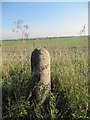 Milestone near West Hagbourne