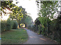 Footpath west of Eltham Palace