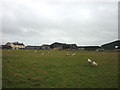 Primrose Hill Farm, Nateby