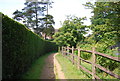 Footpath to Abinger Manor