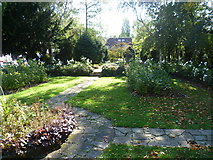 TQ3574 : The Rose Garden, Brenchley Gardens by Marathon