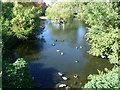 TQ3174 : Pond in Brockwell Park by Marathon