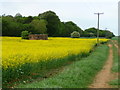 East Dean - Pillbox