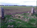 Gateposts near Markethill