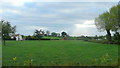 Pasture near Tirley Knowle