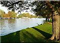 River Thames below Hurley