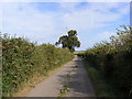 Sheepgate Lane, Lower Falkenham