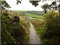 Footpath going down to Gate Farm, on the way to Onesacre