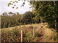 Footpath on Saltbox Hill