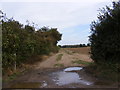 Bridleway to Back Lane