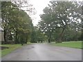 Horton Park - viewed from Cousen Road entrance