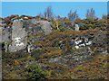 Graffiti on crag above Machynlleth