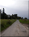 Minor road to Bunrannoch House and south shore of loch