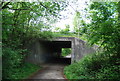 Downs Link under the A24