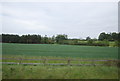 NU0244 : Farmland, Broomhouse Farm by N Chadwick