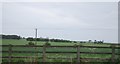 NU0244 : Farmland east of the A1 by N Chadwick