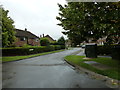 Looking from Cedars Way into Finch Crescent