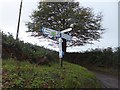 Signpost at Dishcombe Head Cross